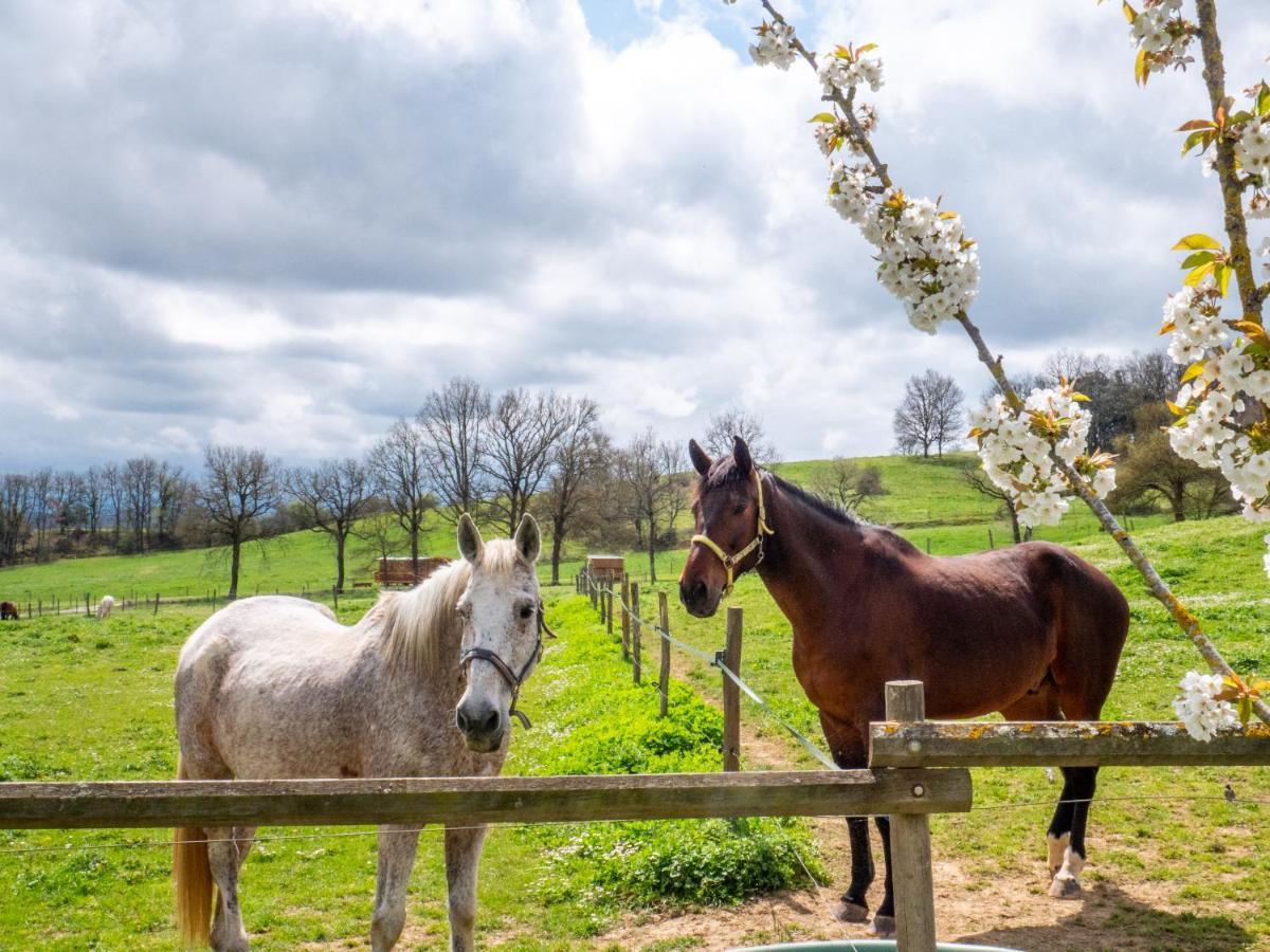 Gites Et Roulottes Au Domaine De La Trille Sainte-Foi Екстер'єр фото
